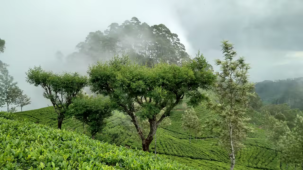 Haputale hills disappearing into cloud